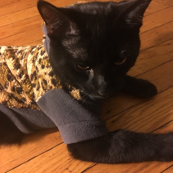 I'm Sarah your usual broke college student. Help. - Picture 2 of 7